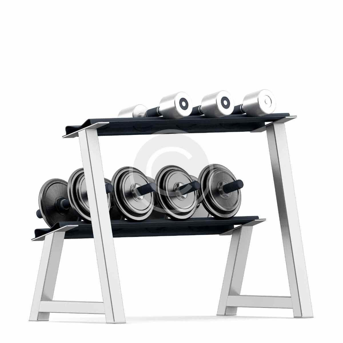 Metallic dumbbells - Imagen 5