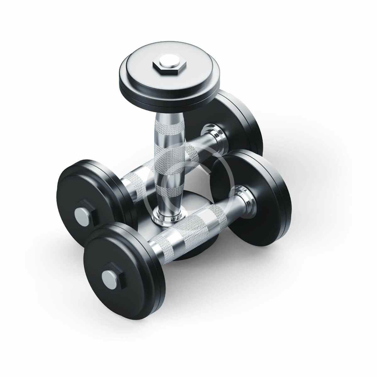 Metallic dumbbells - Imagen 2